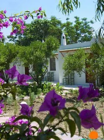 Hotel Hotel Gumusluk 3*