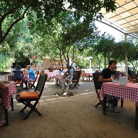 Hotel Hotel Gumusluk 3*