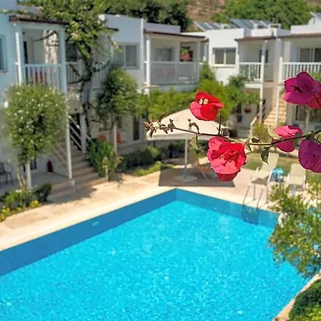 Hotel Hotel Gumusluk Gümüşlük