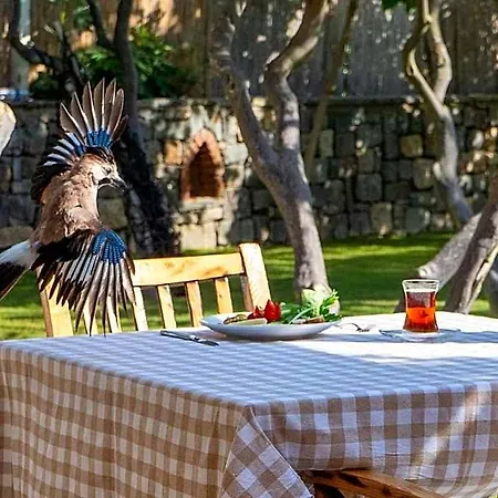 Hotel Gumusluk 3* Gümüşlük
