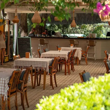 Hotel Hotel Gumusluk Gümüşlük